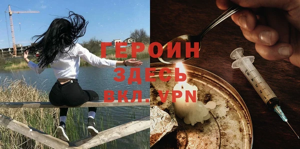 молекула духа Снежногорск