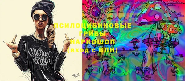 молекула духа Алексеевка