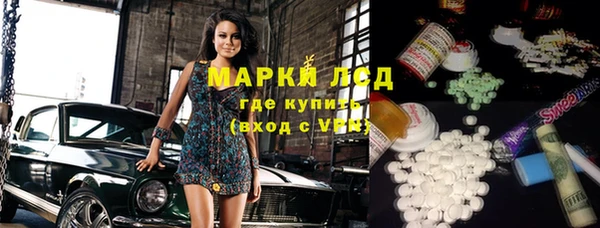 хмурый Алексин