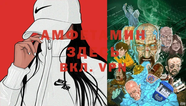 хмурый Алексин