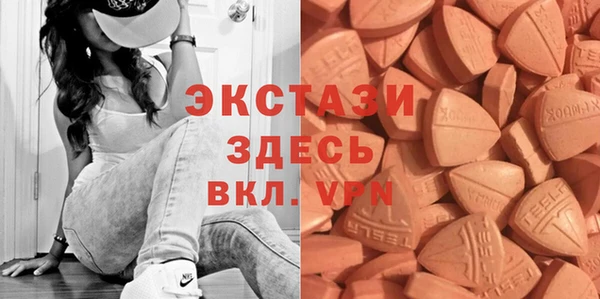 хмурый Алексин