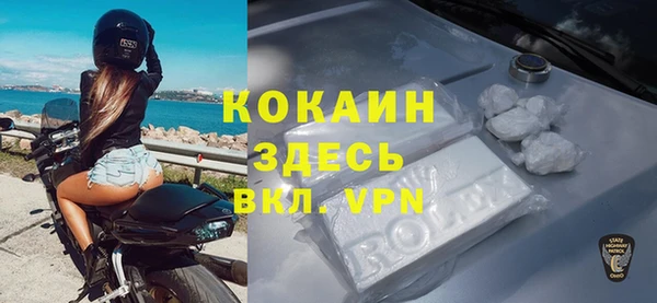 хмурый Алексин