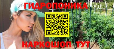 ALPHA PVP Аргун
