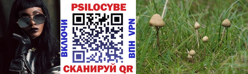 Псилоцибиновые грибы Psilocybine cubensis  хочу   Аргун 
