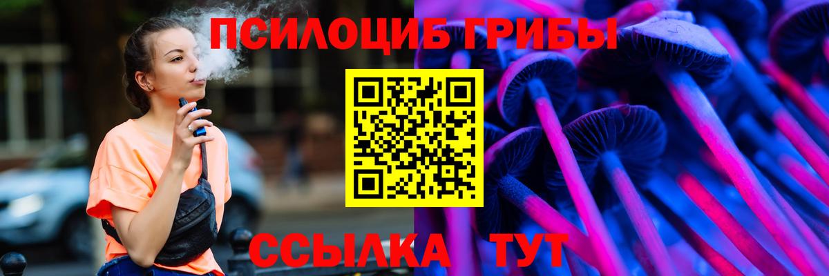 Псилоцибиновые грибы Psilocybe Аргун